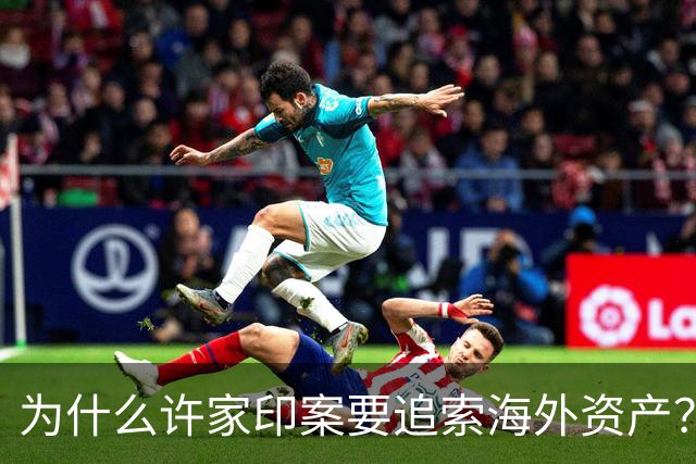为什么许家印案要追索海外资产？